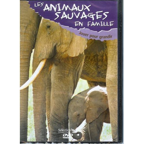 Les Animaux Sauvages En Famille - Jouer Pour Grandir