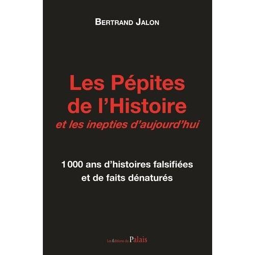 Les Pépites De L'histoire Et Les Inepties D'aujourd'hui - 1000 Ans D'histoires Falsifiées Et De Faits Dénaturés