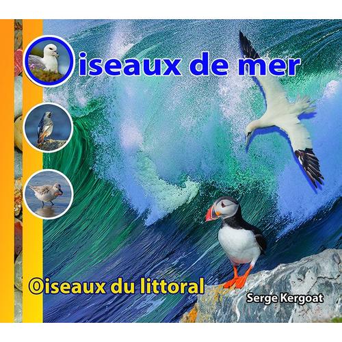 Oiseaux De Mer - Oiseaux Du Littoral