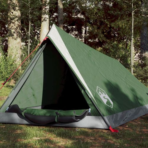 Vidaxl Tente De Camping 2 Personnes Vert Imperméable