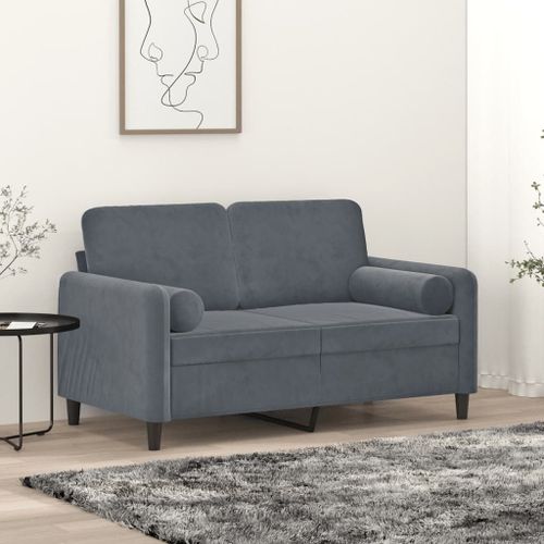Vidaxl Canapé 2 Places Avec Oreillers Gris Foncé 120 Cm Velours