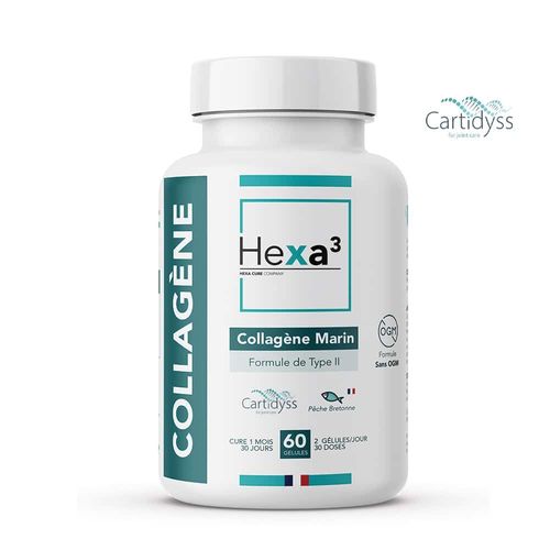 60 Gélules Collagène Marin Français Type Ii Cartidyss® 1 Boîte 