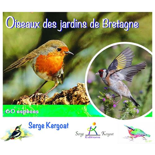 Oiseaux Des Jardins De Bretagne