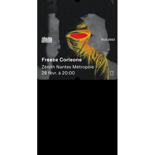 Vends 2 Places De Concert Pour Freeze Corleone Le 28 Février À 20:00