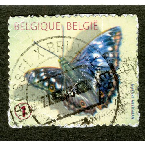 Timbre Oblitéré Belgique - België, Marijke Meersman, 1