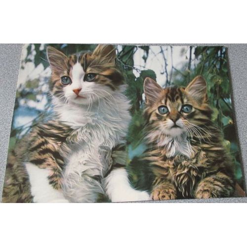 Jeunes chats n°1648, Engadin Press - Image cartonnée représentant deux beaux chatons soyeux tigrés blanc et marron sur un fond de verdure - 27.5x21cm