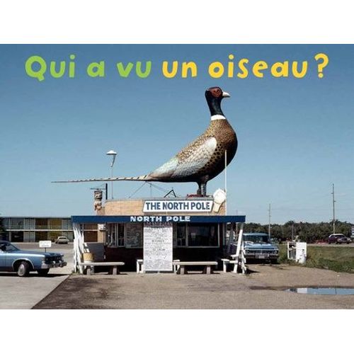 Qui A Vu Un Oiseau ?
