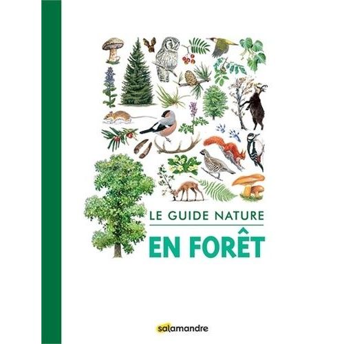 Le Guide Nature En Forêt
