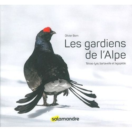 Les Gardiens De L'alpe - Tétras-Lyre, Bartavelle Et Lagopède