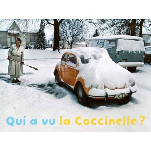 Qui A Vu La Coccinelle ?