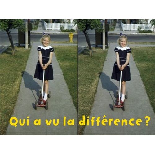 Qui A Vu La Différence ?