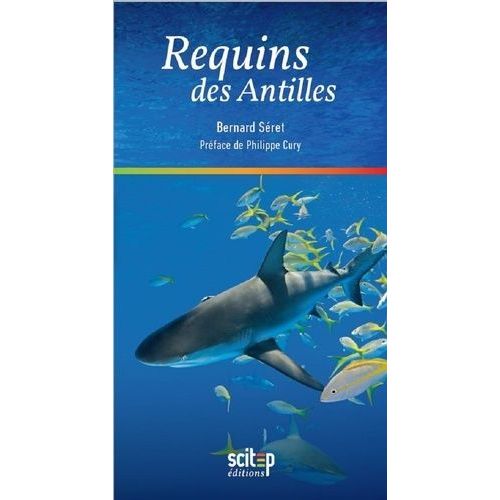 Requins Des Antilles
