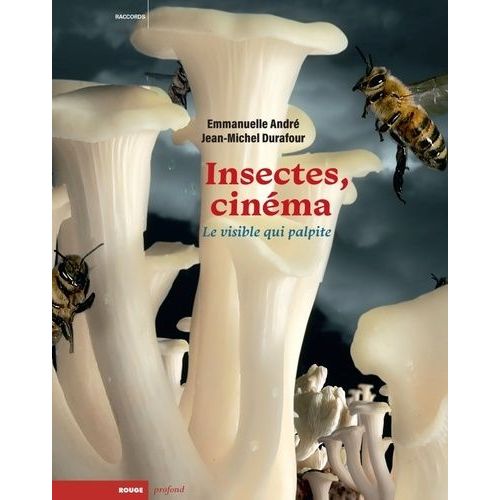 Insectes, Cinéma - Le Visible Qui Palpite