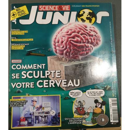 Sciences Et Vie Junior N°377/378/379/380/381