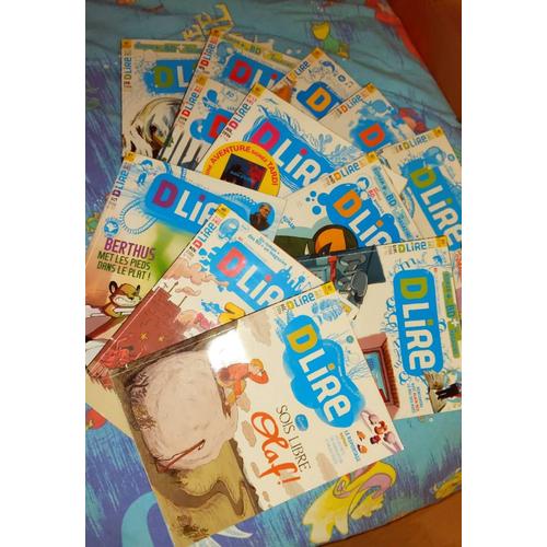 Lot De 12 Magazines Dlire Année 2006, Un Long Roman À Chaque Fois Pour Les 8-13 Ans