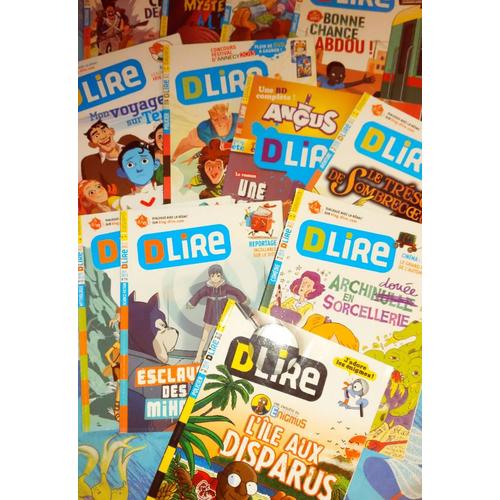 Lot De 12 Magazines Dlire Année 2013