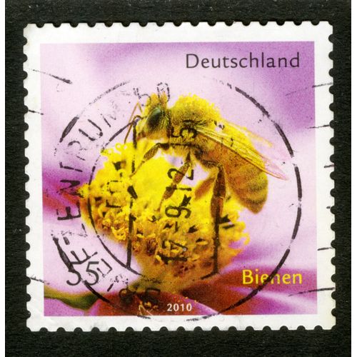 Timbre Oblitéré Deutschland, Bienen, 2010, 55