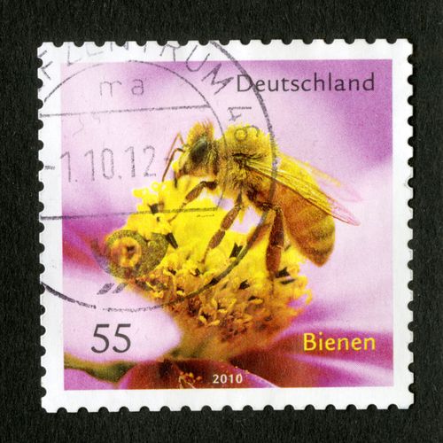 Timbre Oblitéré Deutschland, Bienen, 2010, 55