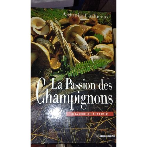 La Passion Des Champignons