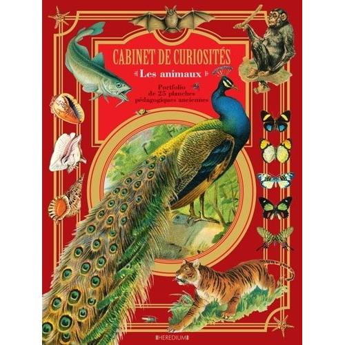 Cabinet De Curiosités Animaux - Livre Portfolio - 25 Planches Originales
