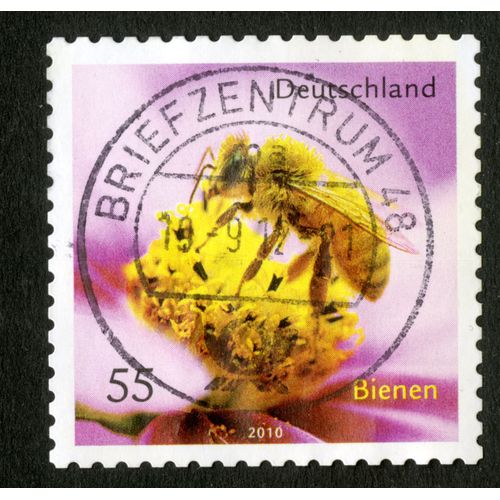 Timbre Oblitéré Deutschland, Bienen, 2010, 55