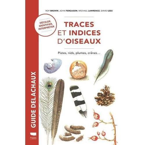 Traces Et Indices D'oiseaux - Pistes, Nids, Plumes, Crânes