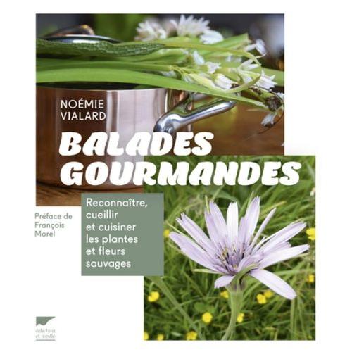 Balades Gourmandes - Reconnaître, Cueillir Et Cuisiner Les Plantes Et Fleurs Sauvages