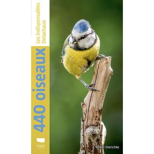 440 Oiseaux