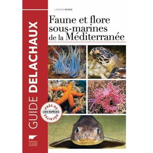 Faune Et Flore Sous-Marines De La Méditerranée