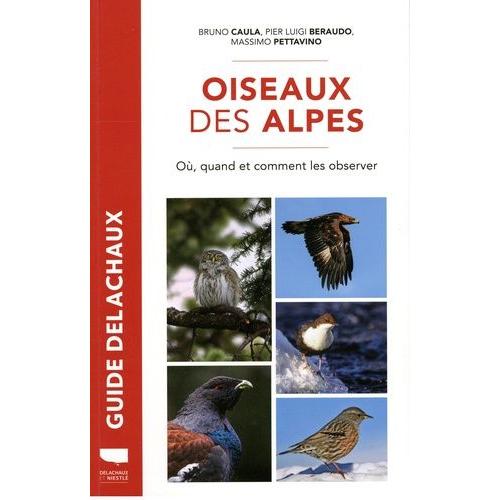 Oiseaux Des Alpes - Où, Quand Et Comment Les Observer