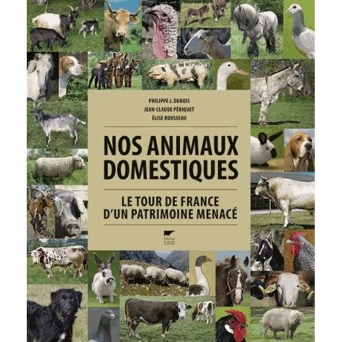 Nos Animaux Domestiques - Le Tour De France D'un Patrimoine Menacé