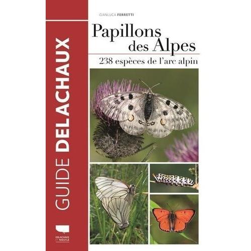 Papillons Des Alpes - 238 Espèces De L'arc Alpin