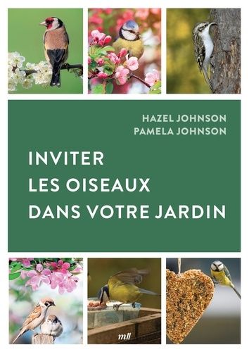 Inviter Les Oiseaux Dans Son Jardin