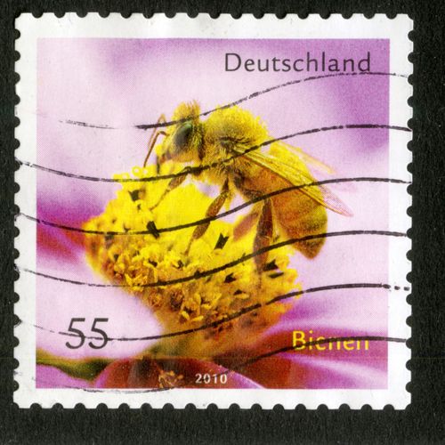 Timbre Oblitéré Deutschland, Bienen, 2010, 55