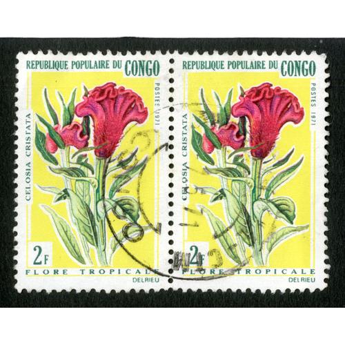 Deux Timbres Oblitérés République Populaire Du Congo, Celosia Cristata, Flore Tropicale, Postes 1971, 2 F