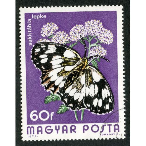 Timbre Oblitéré Magyar Posta, Sakktàbla Lepke, 1974, 60 F