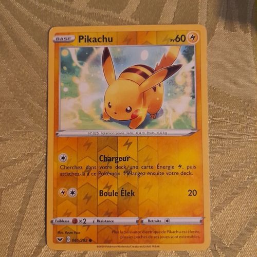 Pikachu Pv 60