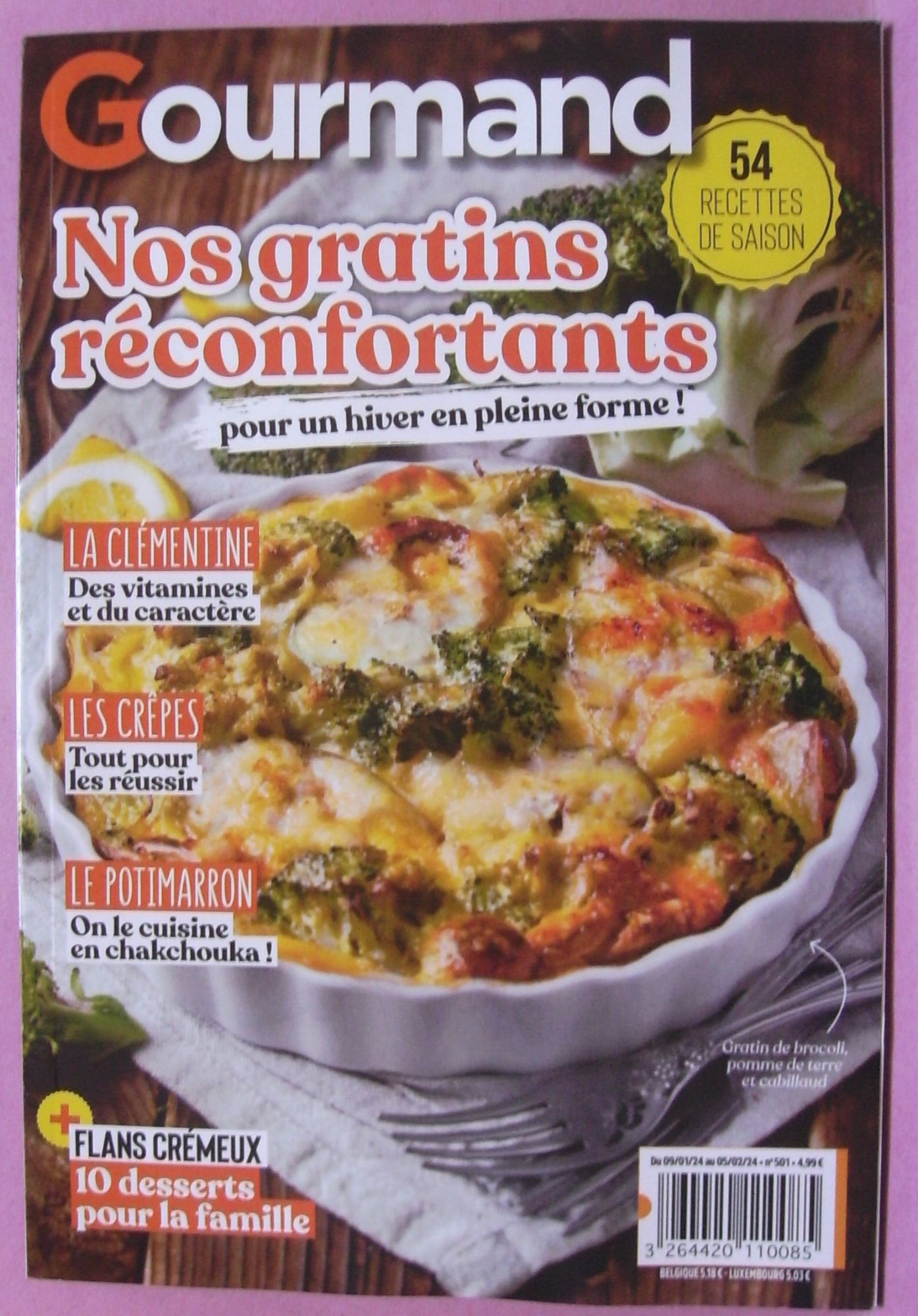 Gourmand - Nos Gratins Réconfortants - Du 09 / 01/ 2024 Au 05 / 02 /2024 - N° 501