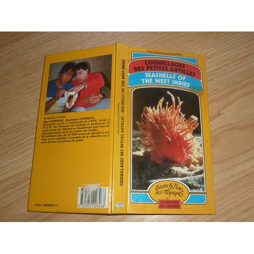 Coquillages Des Petites Antilles / Seashells Of The West Indies
