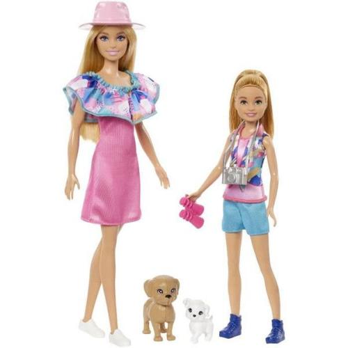 Barbie - Coffret Poupées Stacie Et Barbie Avec 2 Chiots Et Accessoires