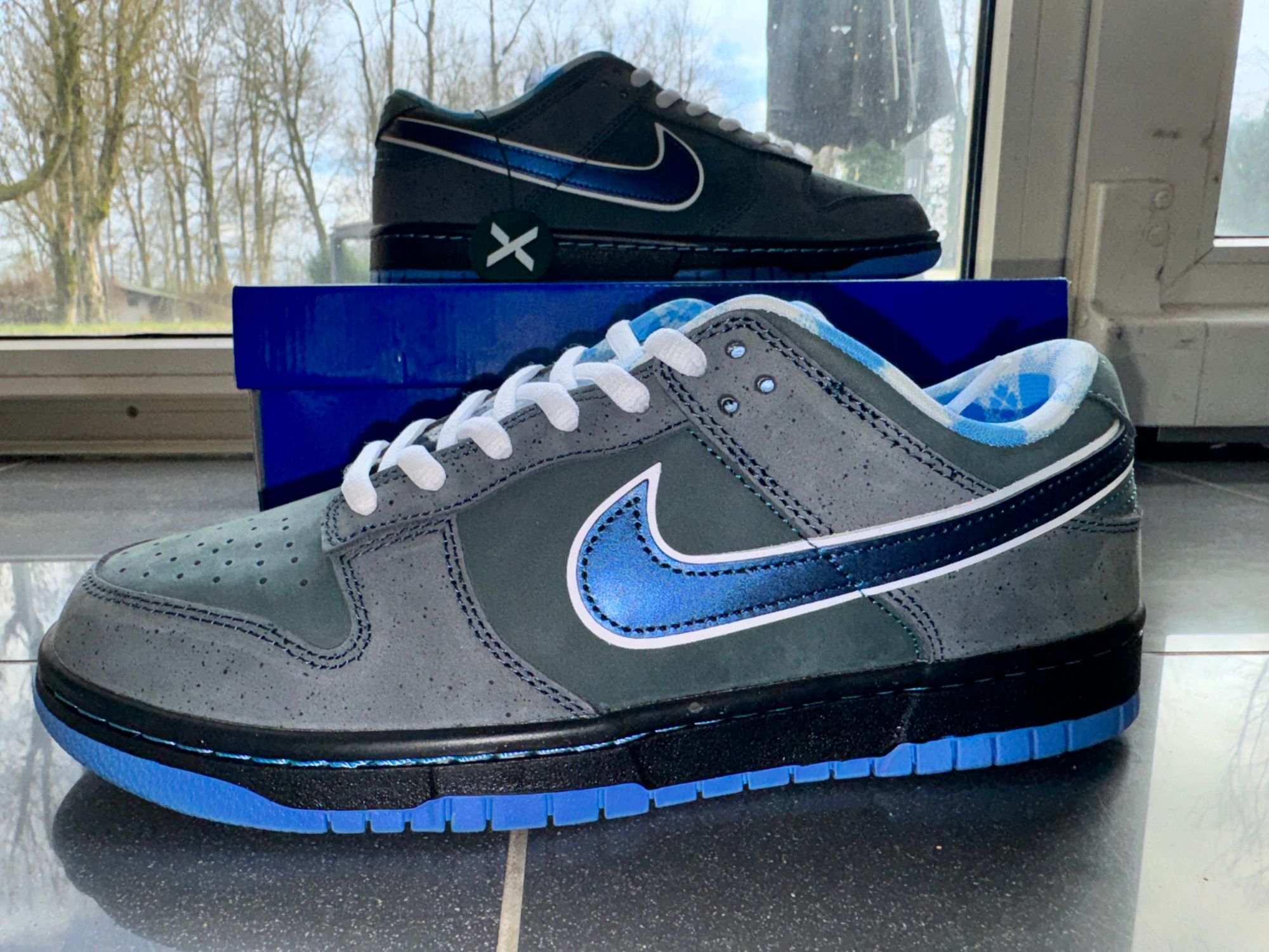 nike blue lobster