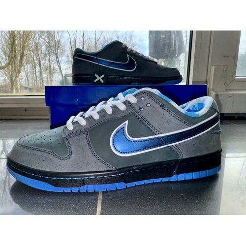 concepts blue lobster