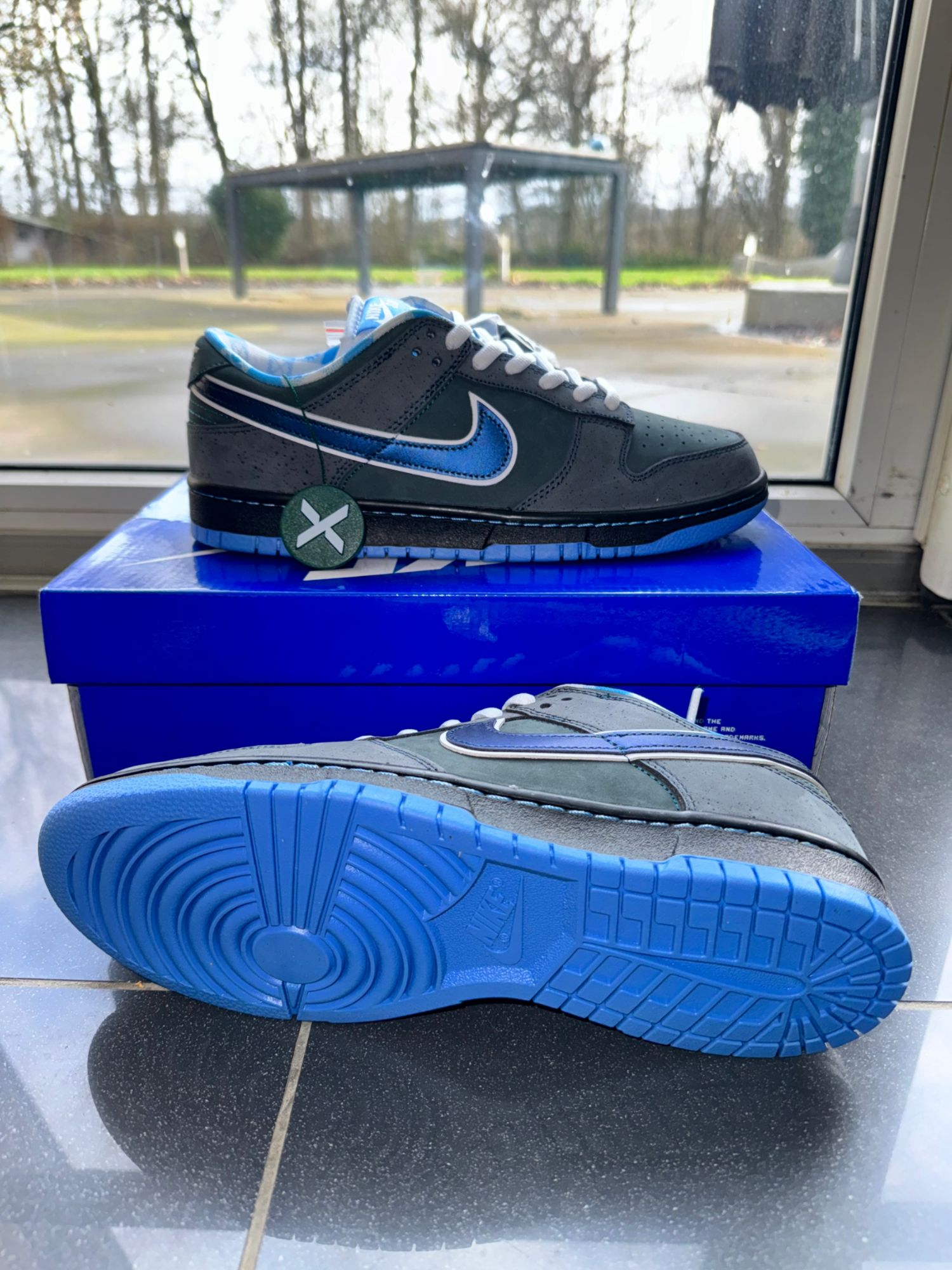 nike blue lobster