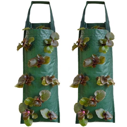 8 Sacs De Sacs De Culture De Fraises Suspendus