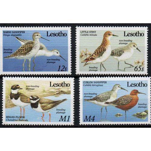 Lesotho Timbres Les Oiseaux 1989