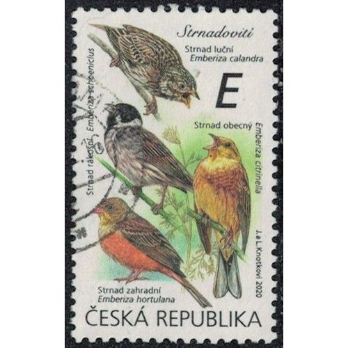 République Tchèque 2020 Oblitéré Used Oiseaux Passereaux Emberizidés Y&t Cz 954 Su