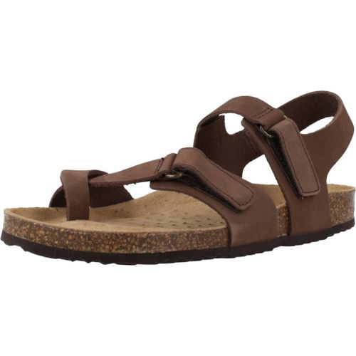 Geox D Brionia Colour Marron - 36