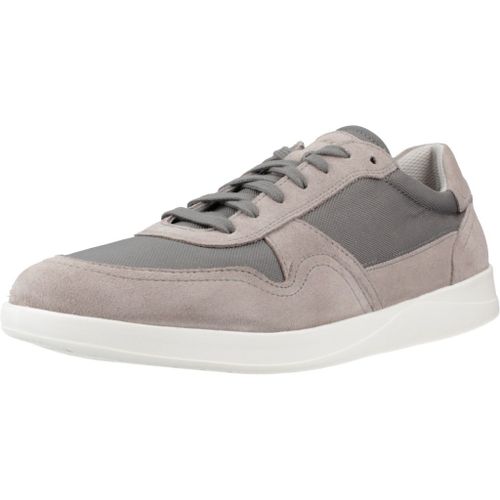 Geox U Kennet A Colour Gris