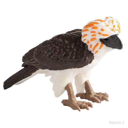 Simulation D'aigle Des Philippines, Ensemble De Jeu, Figurines D'aigle Réalistes, Animaux Sauvages