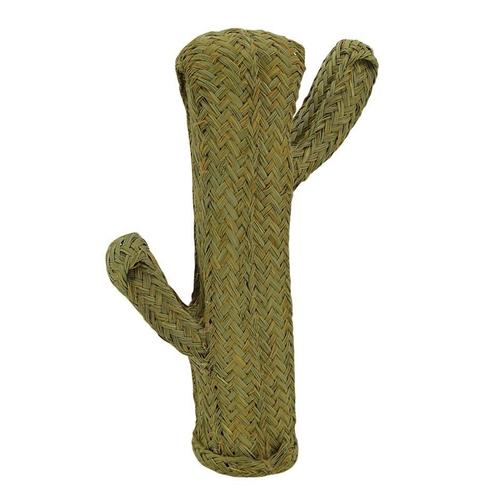 Cactus en alpha Hauteur 65 cm